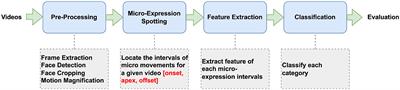 Can micro-expressions be used as a biomarker for autism spectrum disorder?